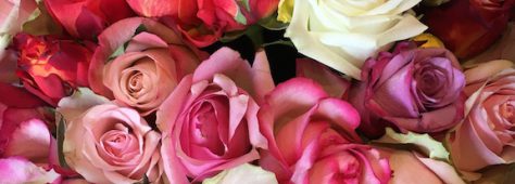 誰も教えてくれない。会場装花のその後について。